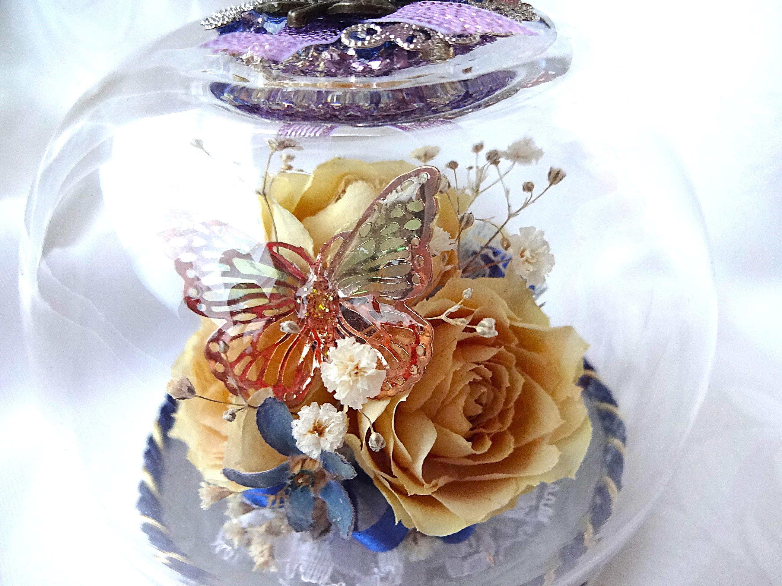 恋する蝶々　白薔薇